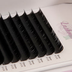 Classic Lashes Thickness (0.10/0.12) 16 Lines - Lashmer