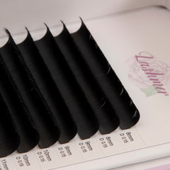 Classic Lashes Thickness 0.15 (Curl C/D/B/J) 16 lines - Lashmer