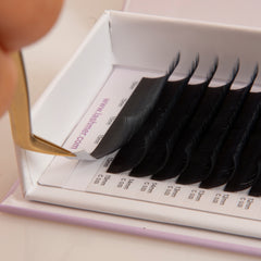 Matt Black Volume Lashes D Curl (0.03/0.05/0.07) 16 Lines - Lashmer