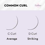 C, D Curl--New 10D Pointy System Narrow Fans Promade Fans - 16 Lines - 384 Fans - Lashmer