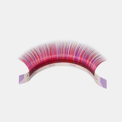 Color Volume lashes Sampler -- PP Colour (5 lines) - Lashmer