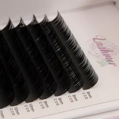 Classic Lashes Thickness (0.10/0.12) 16 Lines - Lashmer