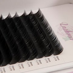 Classic Lashes Thickness (0.18/0.20) 16 Lines - Lashmer