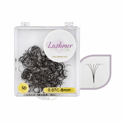 5D Loose Promade Fans | Lashmer | C, D Curl - 1000 Fans - Lashmer