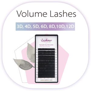 Volume Lashes
